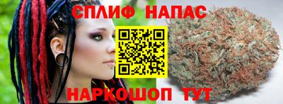 крисы Партизанск