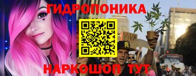 крисы Партизанск