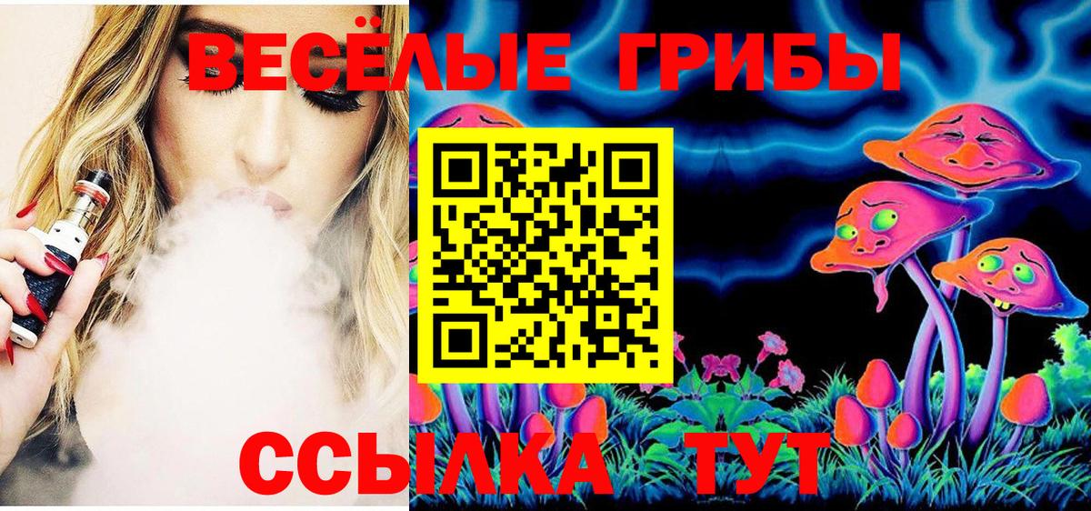 Галлюциногенные грибы Psilocybe Орёл